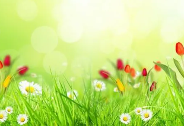 loi-kinh-trong-long-ban-tay